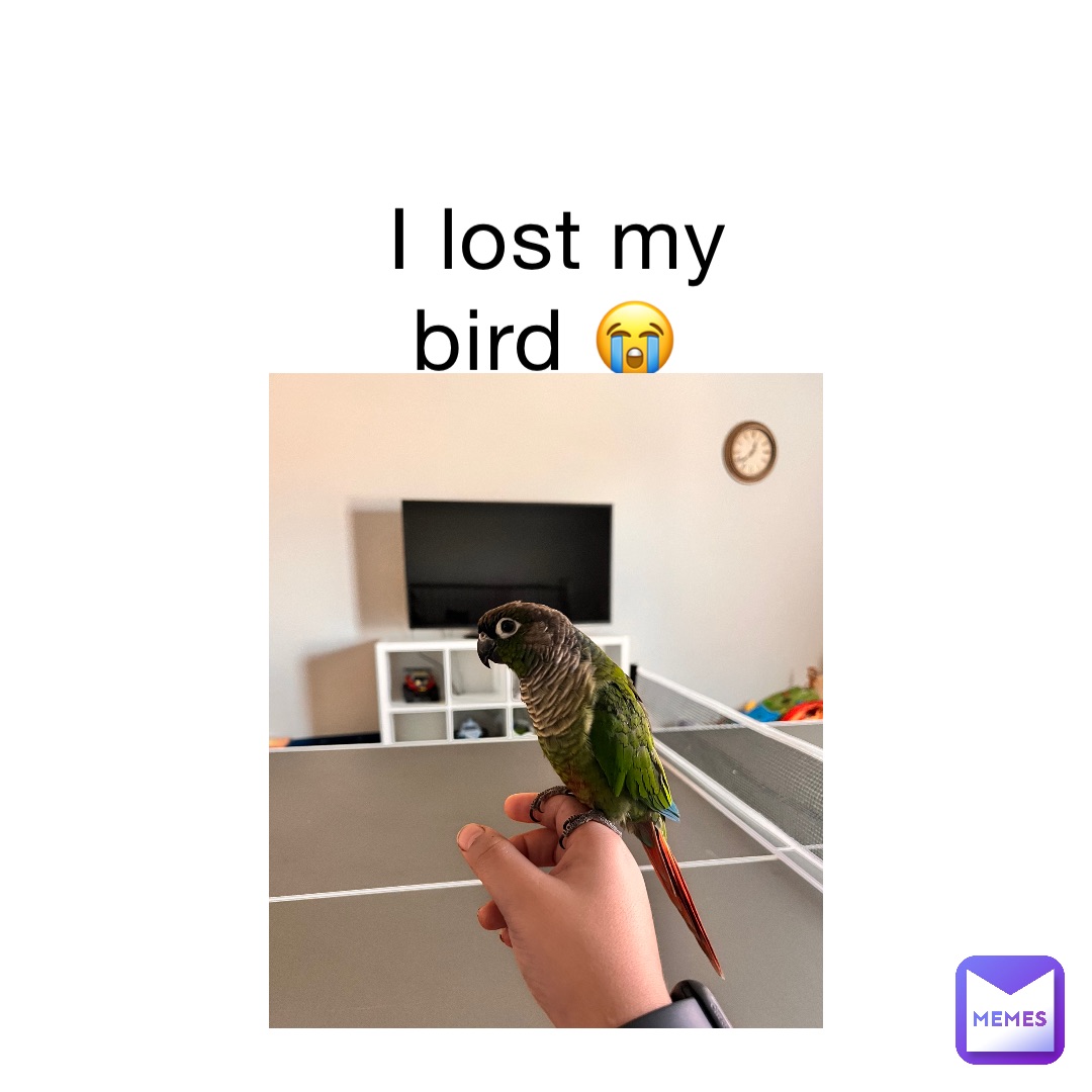 I lost my bird 😭