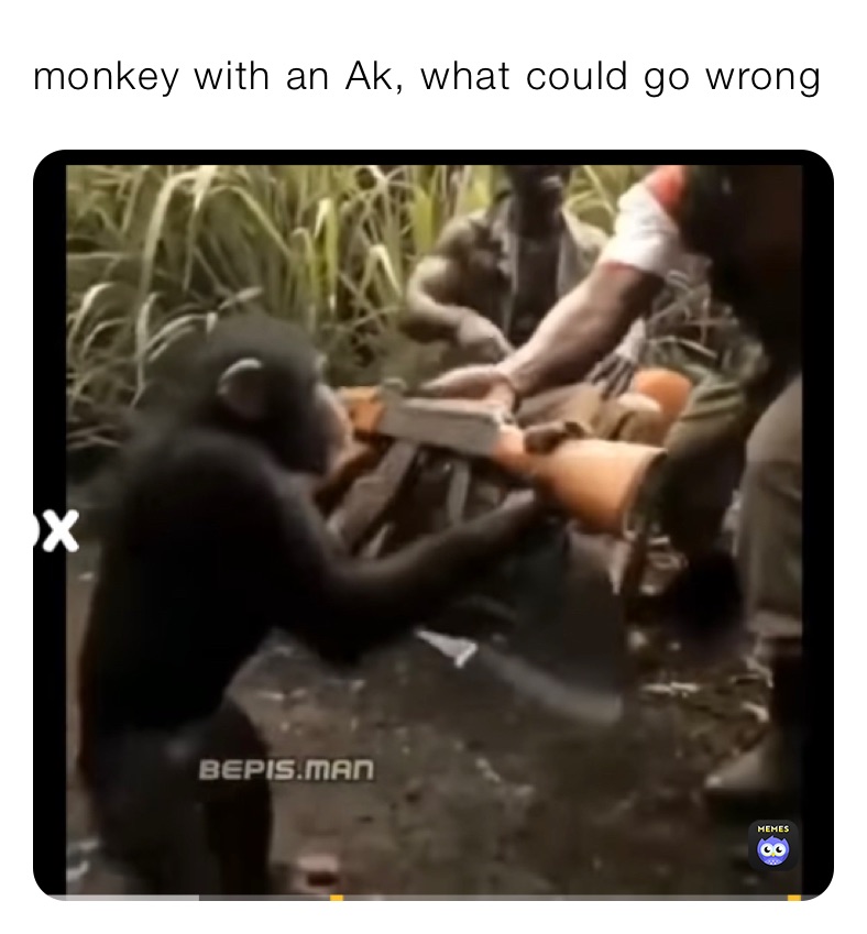 monkey with an Ak, what could go wrong