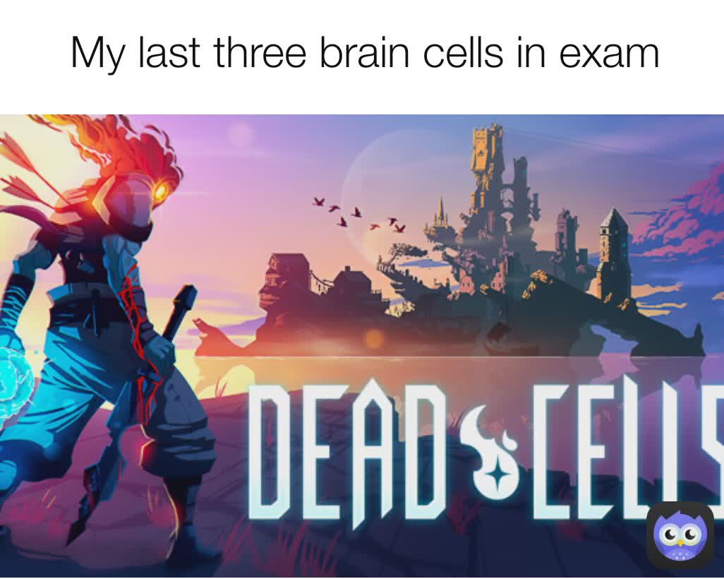 My last three brain cells in exam