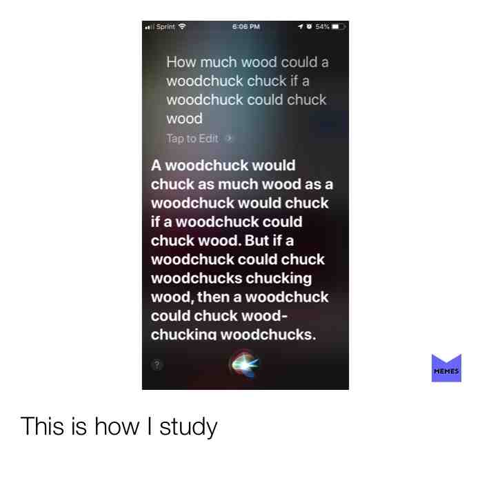Meme shared by @lylabear