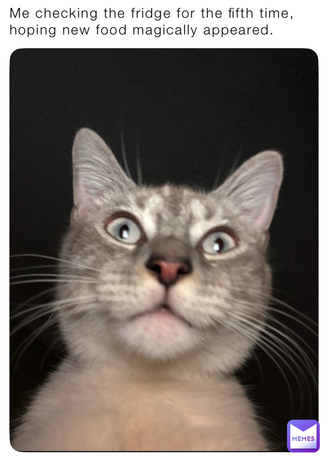 Meme by Peythemenace