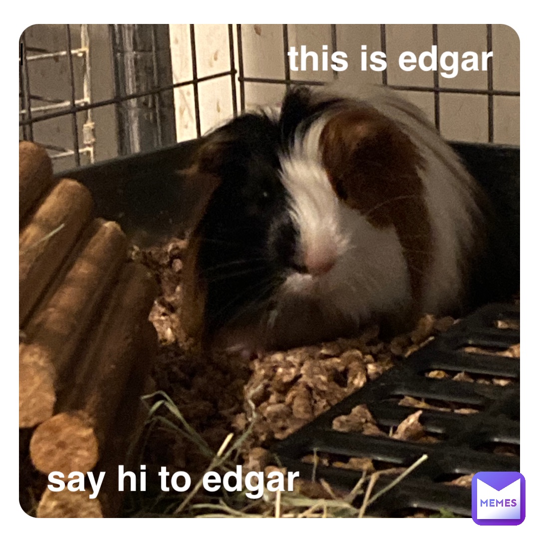 l this is edgar say hi to edgar