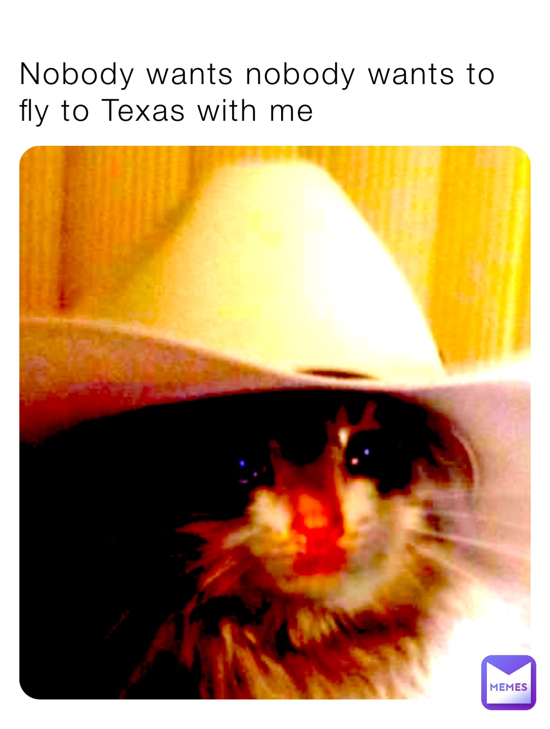 Nobody wants nobody wants to fly to Texas with me