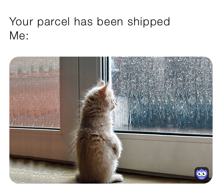 Your parcel has been shipped
Me: