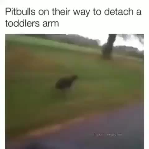 #memes #jokes #repost #nice #fyp #funny #true #viral
