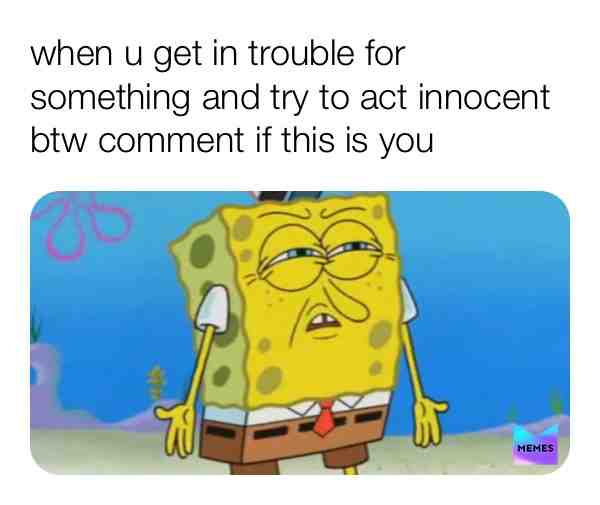 Meme shared by @pan_cake123
