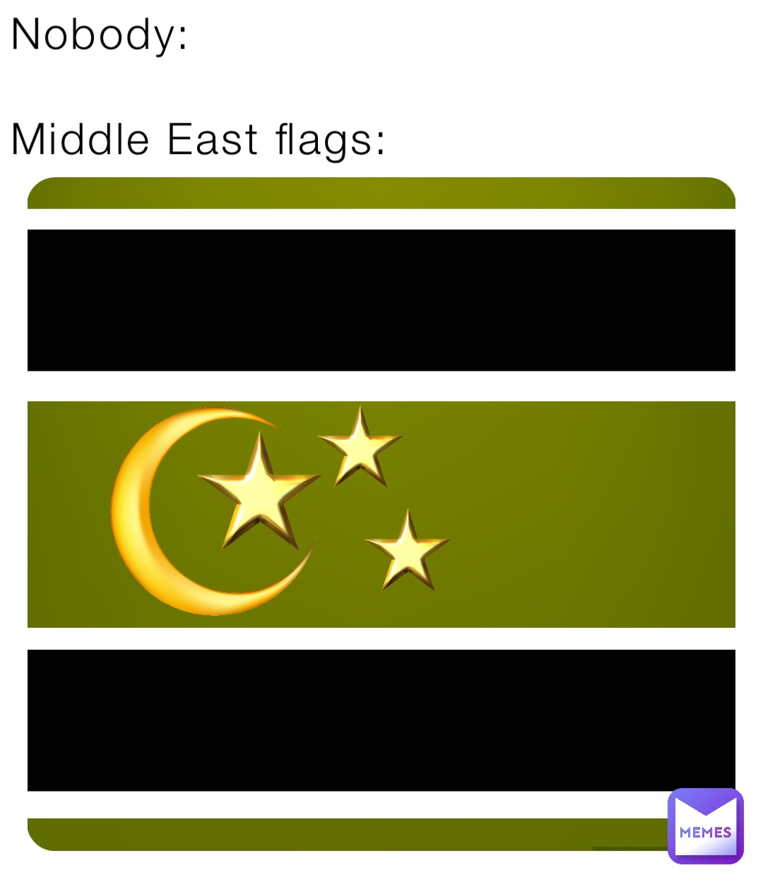 Nobody:

Middle East flags: