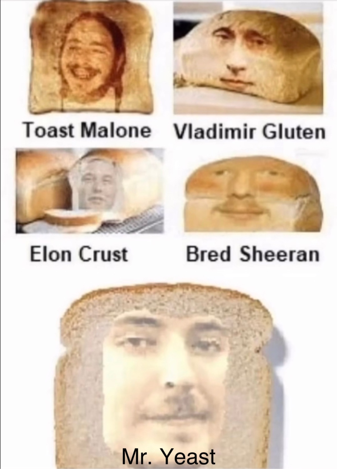 Mr. Yeast