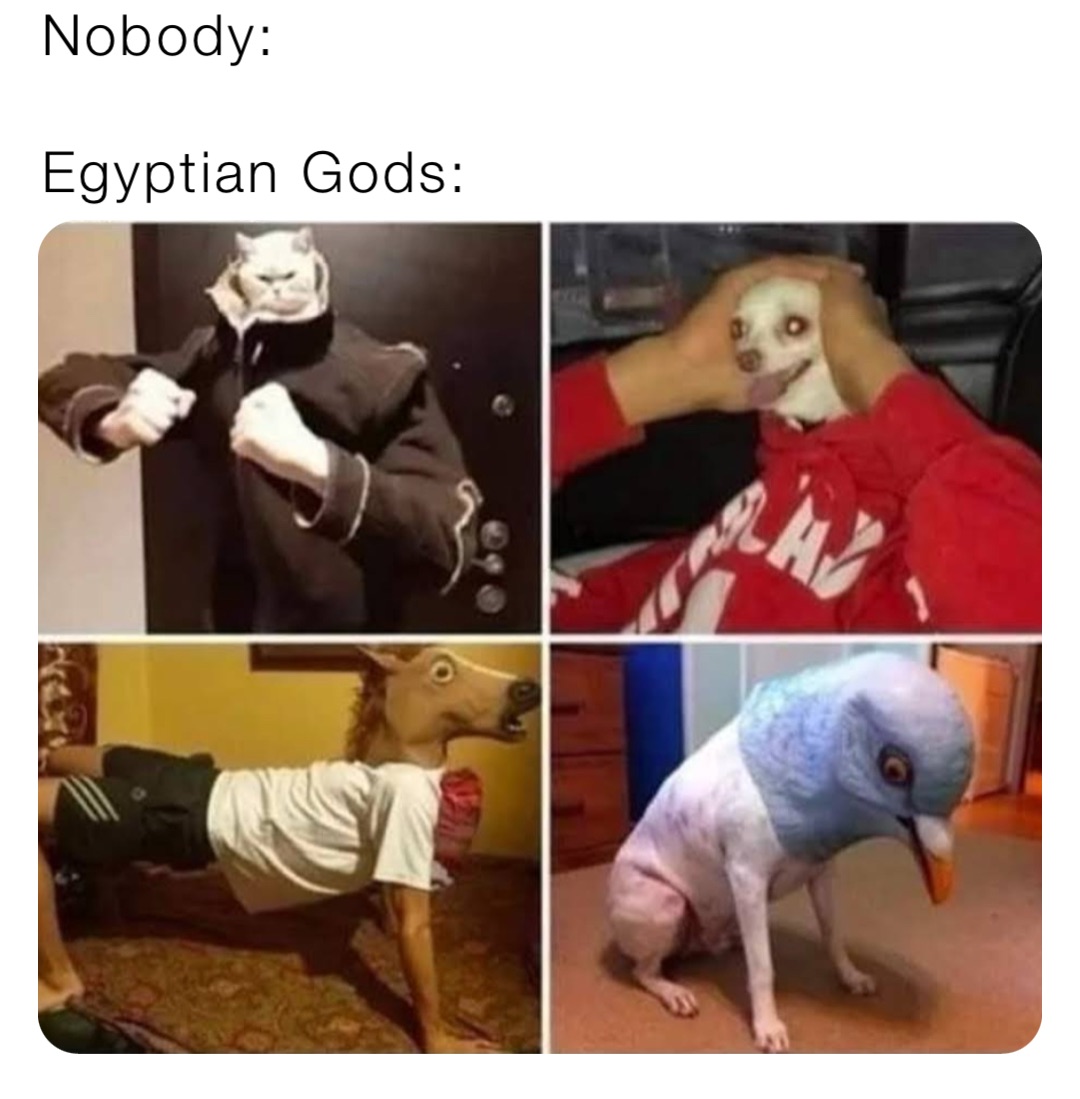 Nobody: Egyptian Gods: | @AbelReal_Jr | Memes