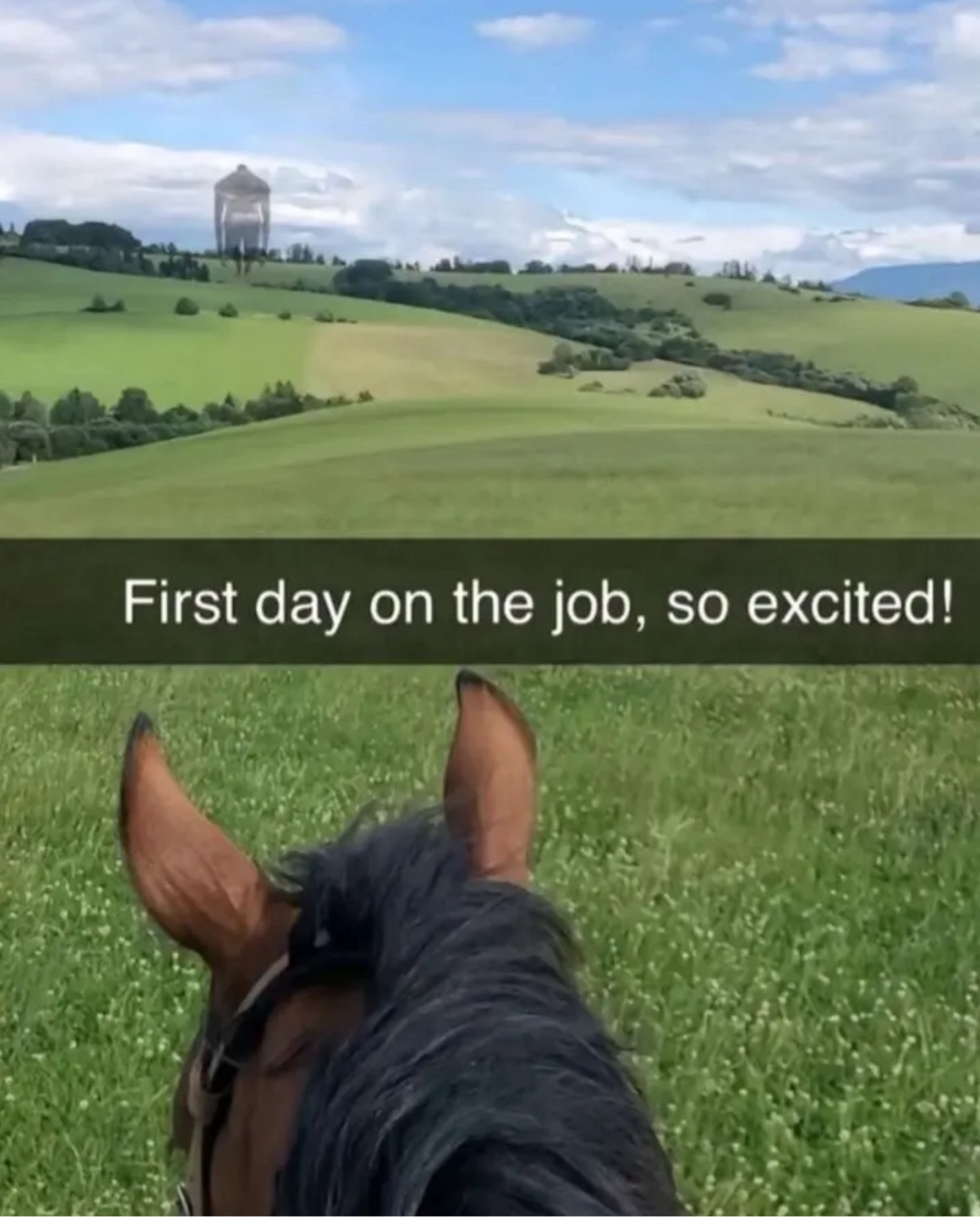 Meme by RazzleDazzle_04