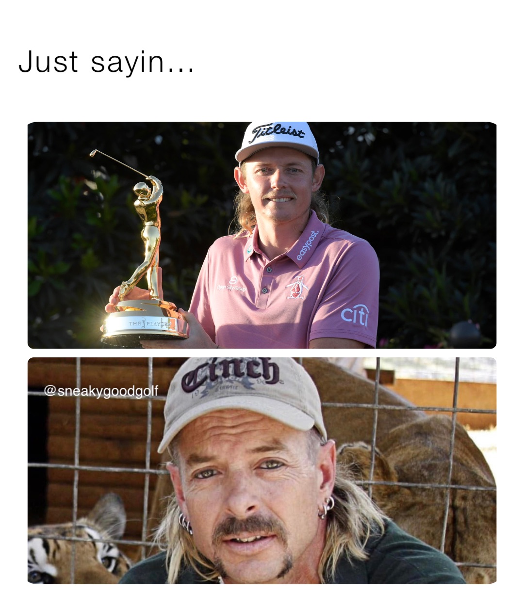 Meme by sneakygoodjoey