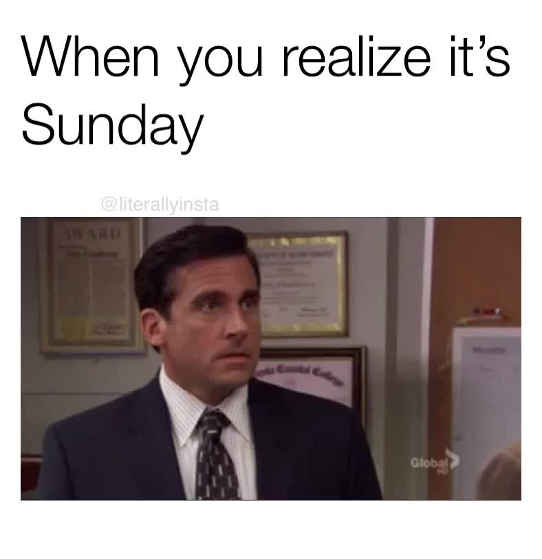 Have we not earned 3 day weekends after this year? 
 #sunday  #sundaymood  #theoffice  #michaelscott  #mondaymood  #monday  #ugh #literally #literallyinsta #literallyme