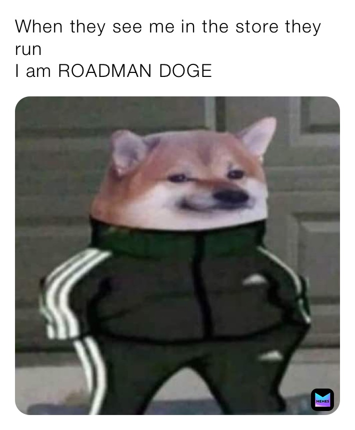 When they see me in the store they run
I am ROADMAN DOGE