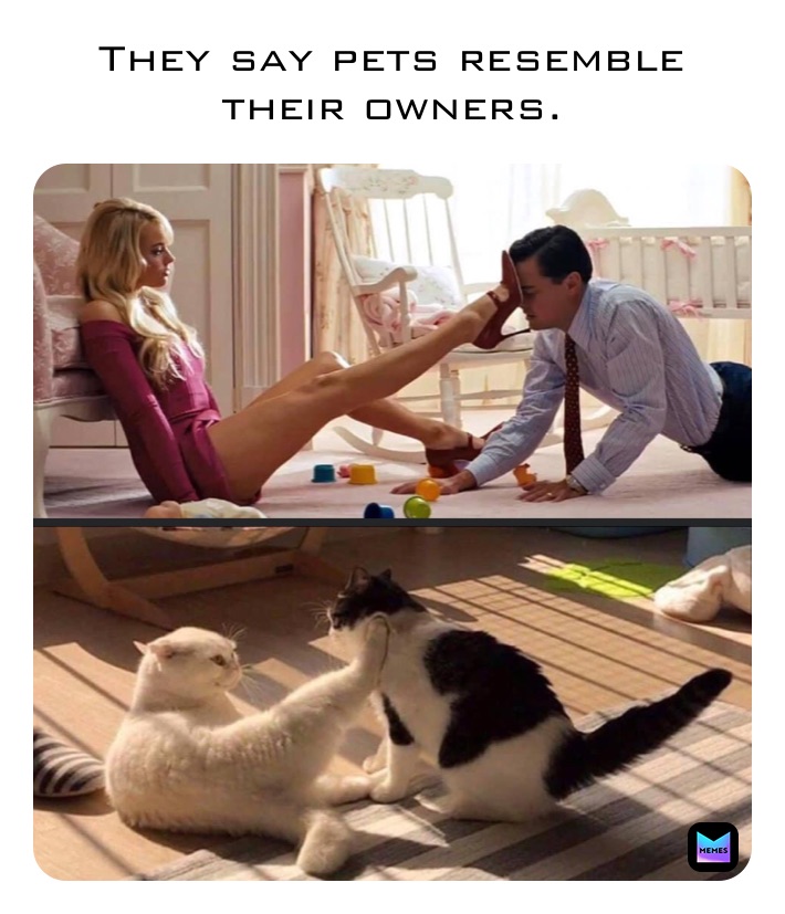 They say pets resemble their owners.