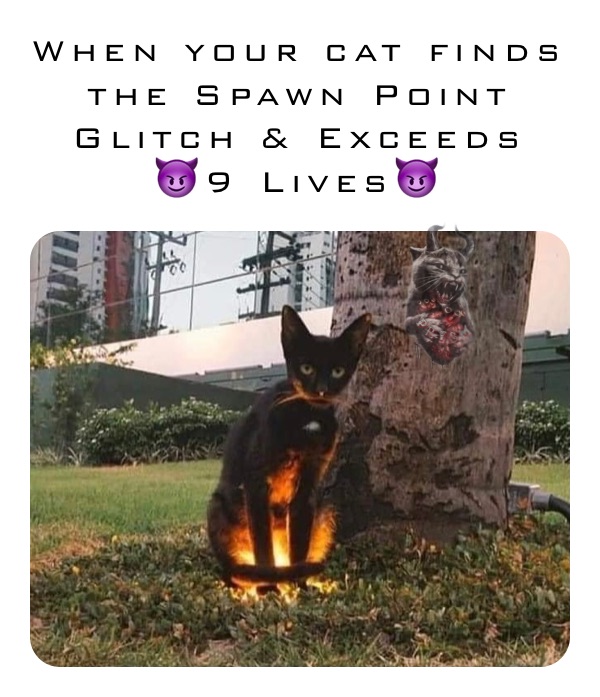 When your cat finds the Spawn Point Glitch & Exceeds 
😈9 Lives😈