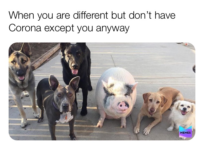 Meme by shelly_hellman