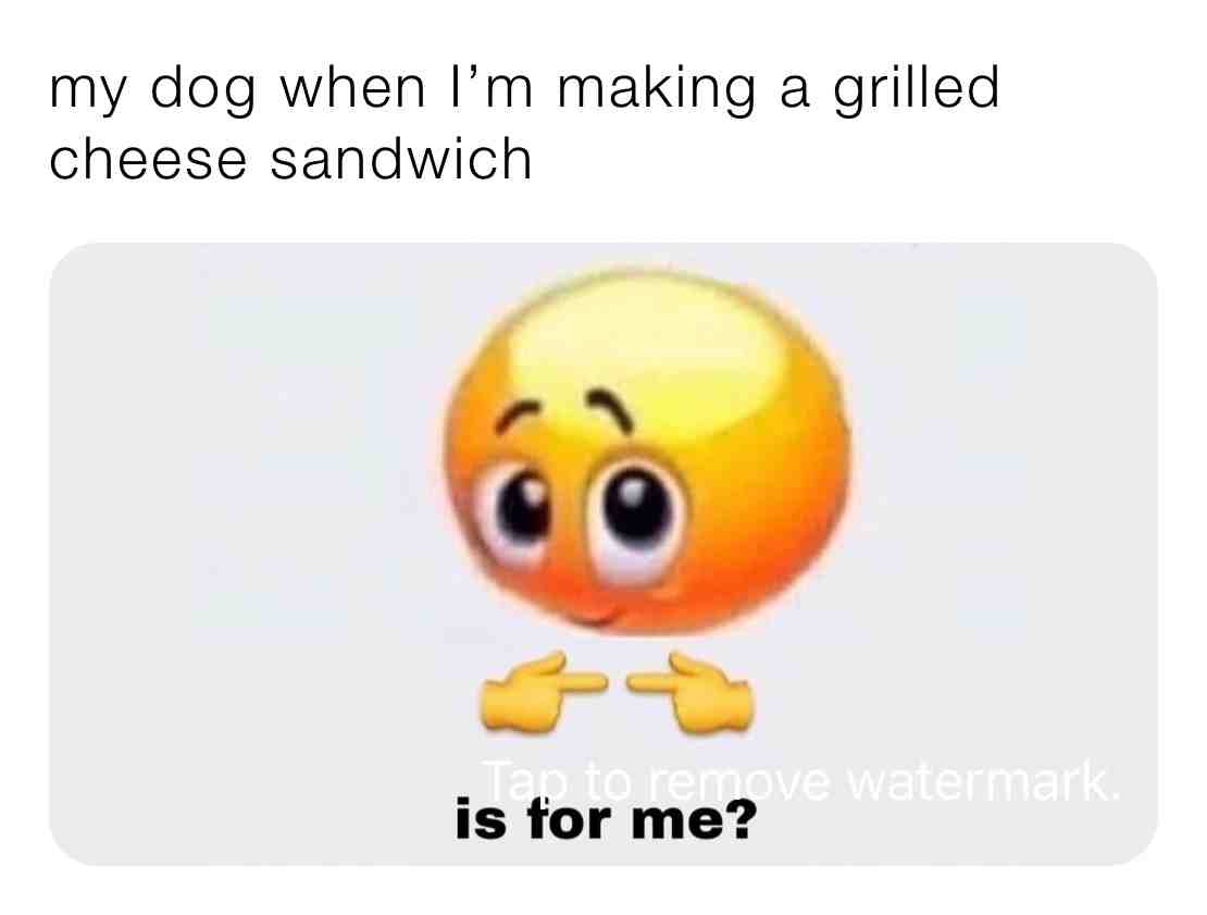 Can't blame him though, grilled cheese is so yummy