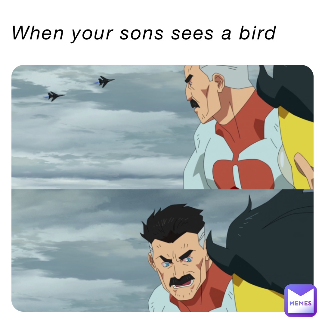 When your sons sees a bird