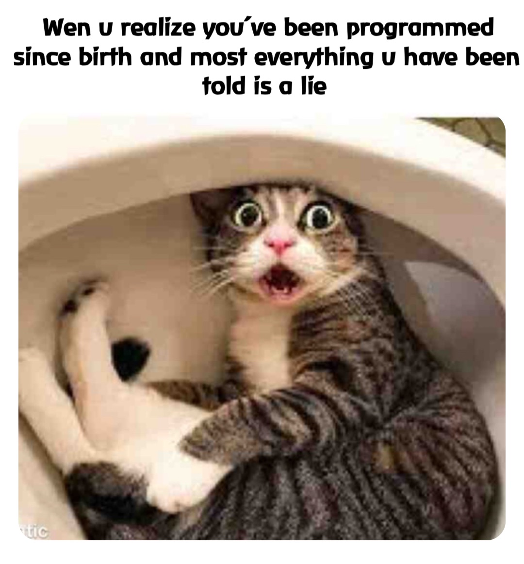 Double tap to edit Wen u realize you’ve been programmed since birth and most everything u have been told is a lie