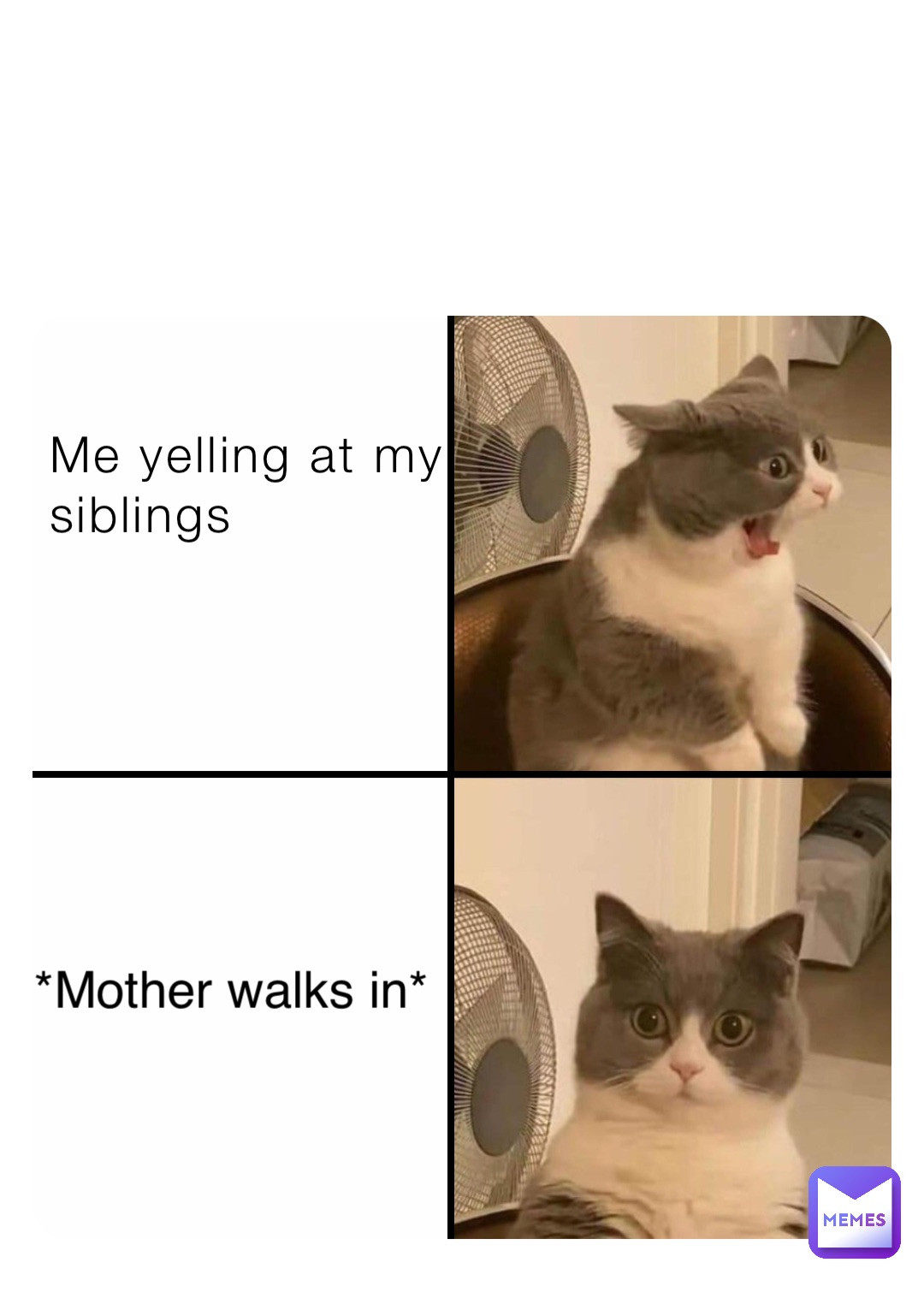 me-yelling-at-my-siblings-mother-walks-in-discoo-memes