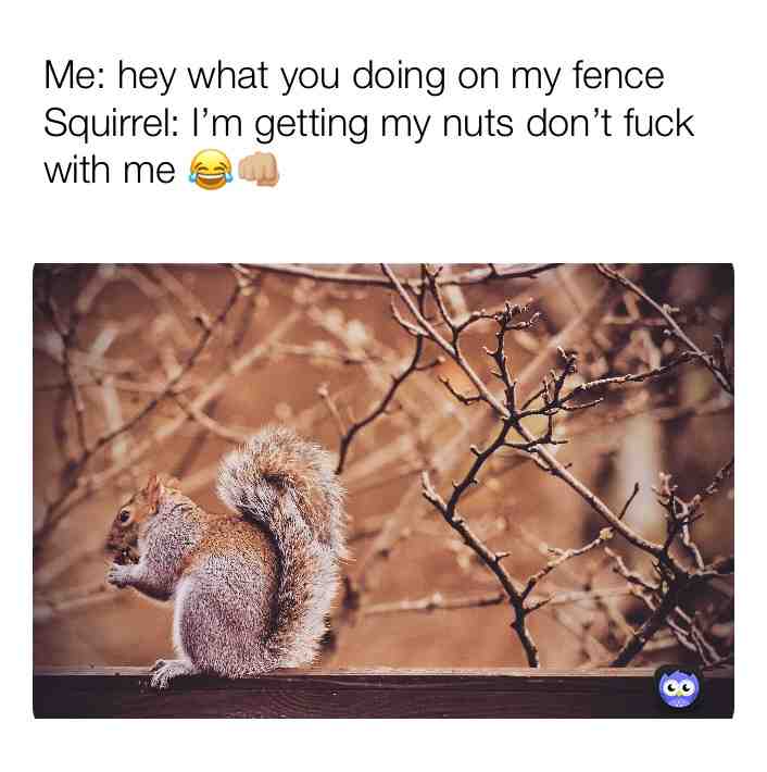 Go nuts