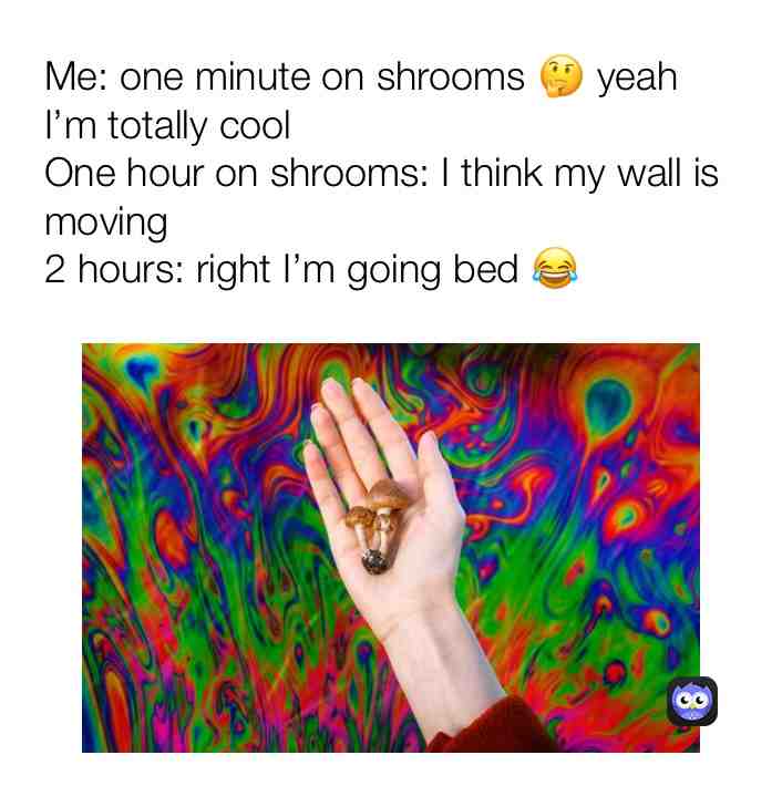 shroomlife