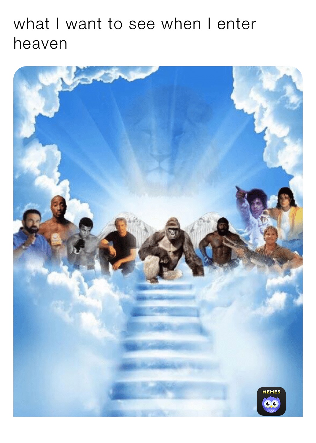 what I want to see when I enter heaven