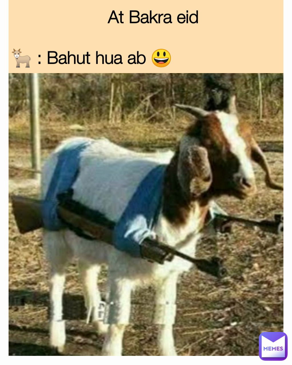                     At Bakra eid 
 
🐐 : Bahut hua ab 😃