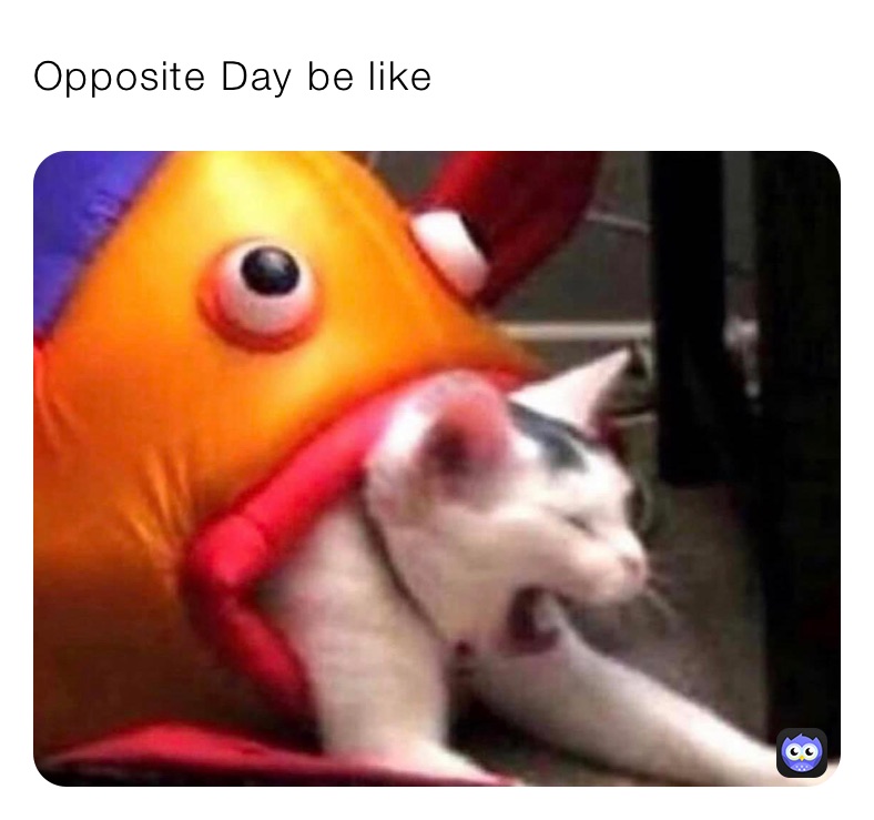 Opposite Day be like