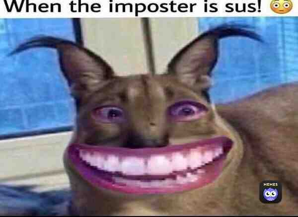 Yeah, I don’t know either