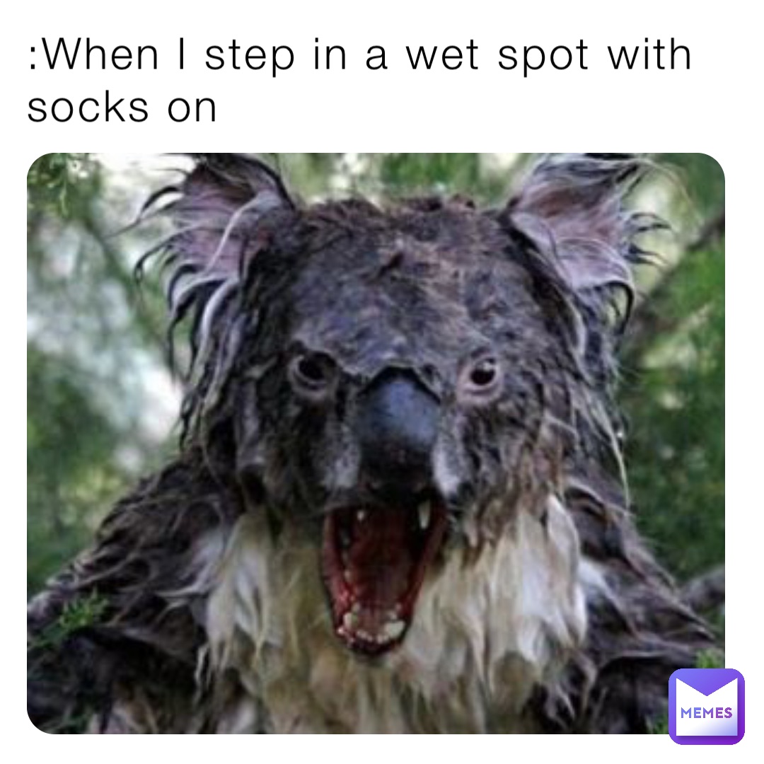 :When I step in a wet spot with socks on