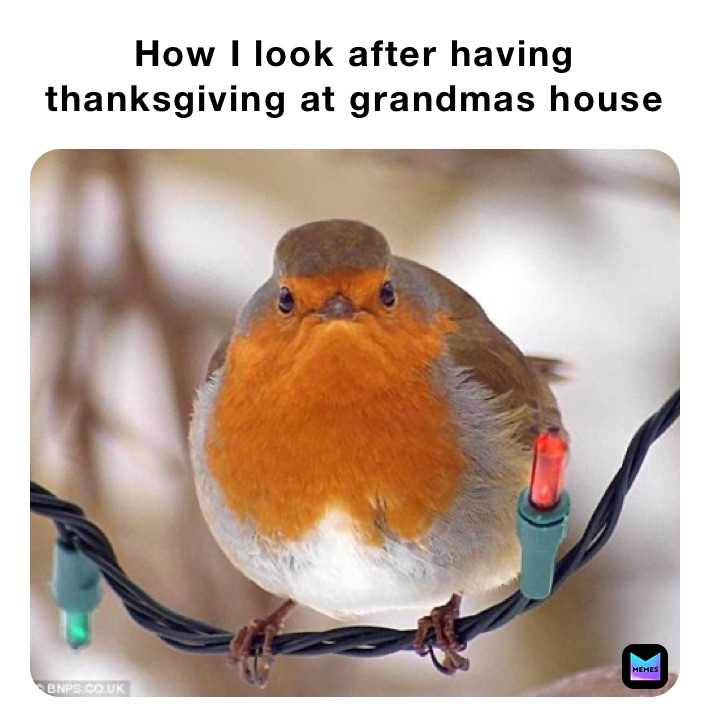 How I look after having thanksgiving at grandmas house