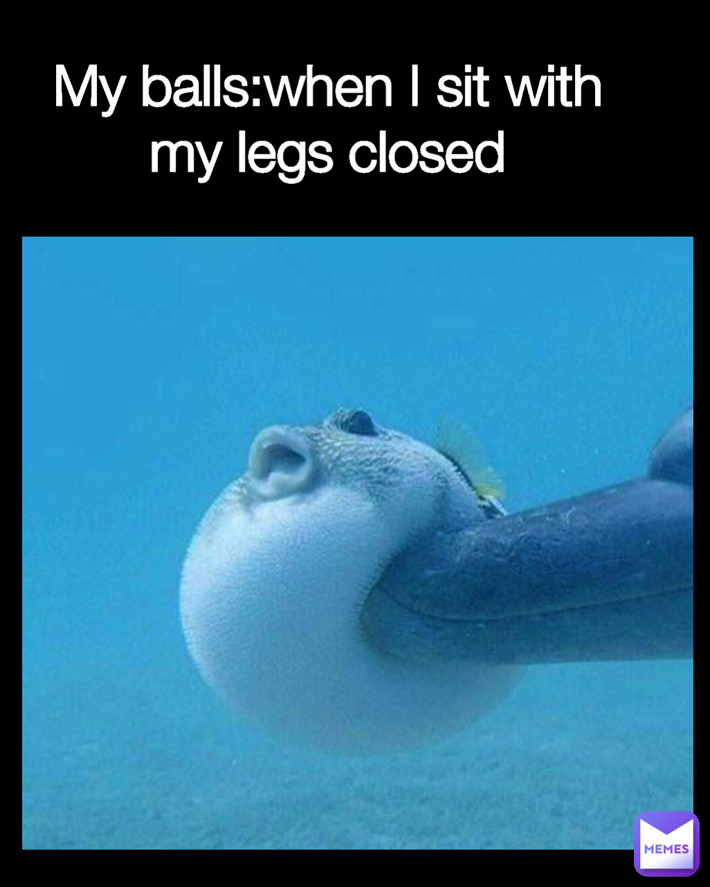 Meme by Stealth_duckana