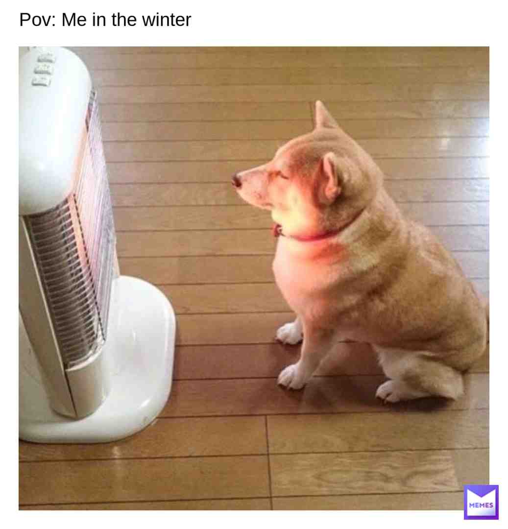 #doge #dogememegod #doge #dogecoin #dogearmyyyyy #dogememe #dogelonmars #dogelon #dogeisback #doge2 #doge2024 #dogeaccepetedhere #dogee #dogeface #dogehuntersquad #dogeiscool #dogekingdom #dogeroasts #dogecoinarmy #dog #dog #dogememegod #dogs #doggo #doge #dogmemes #doggy #doggoaday #dogecoin #dogheater #doggooftheday #dogslife #dogsofinstagram #dogoarmy #dogearmyyyyy #dogmeme #doggomemes #dogstagram #doglover #dogoftheday #dogy