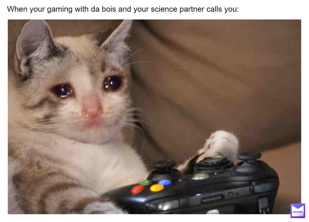 #Sad cat #sad #cat #sadyeehaw #cats #sadmemes #catmemes #sadlife #sadness #catmeme #sadboimemes #sadtruth #dog #dog #dogememegod #dogs #doggo #doge #dogmemes #doggy #doggoaday #dogecoin #dogheater #doggooftheday #dogslife #dogsofinstagram #dogoarmy #dogearmyyyyy #dogmeme #doggomemes #dogstagram #doglover #dogoftheday #doge #dogememegod #doge #dogecoin #dogearmyyyyy #dogememe #dogelonmars #dogelon #dogeisback #doge2 #doge2024 #dogeaccepetedhere #dogee #dogeface #dogehuntersquad #dogeiscool #dogecoinarmy #dogekingdom #dogeroasts #dog #dog #dogememegod #dogs #doggo #doge #dogmemes #doggy #doggoaday #dogecoin #dogheater #doggooftheday #dogslife #dogsofinstagram #dogoarmy #dogearmyyyyy #dogmeme #doggomemes #dogstagram #doglover #dogoftheday #doge #dogememegod #doge #dogecoin #dogearmyyyyy #dogememe #dogelonmars #dogelon #dogeisback #dogee #dogeface #dogehuntersquad #dogeiscool #doge2 #doge2024 #dogeaccepetedhere #dogecoinarmy #dogekingdom #dogeroasts