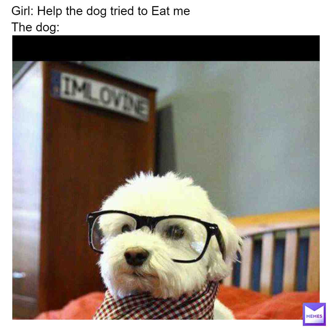 #dumb #dumb #dumbmemes #dumbstuff #dumbmeme #doge #dogememegod #doge #dogecoin #dogearmyyyyy #dogememe #dogelonmars #dogelon #dogeisback #doge2 #doge2024 #dogeaccepetedhere #dogee #dogeface #dogehuntersquad #dogeiscool #dogecoinarmy #dogekingdom #dogeroasts
