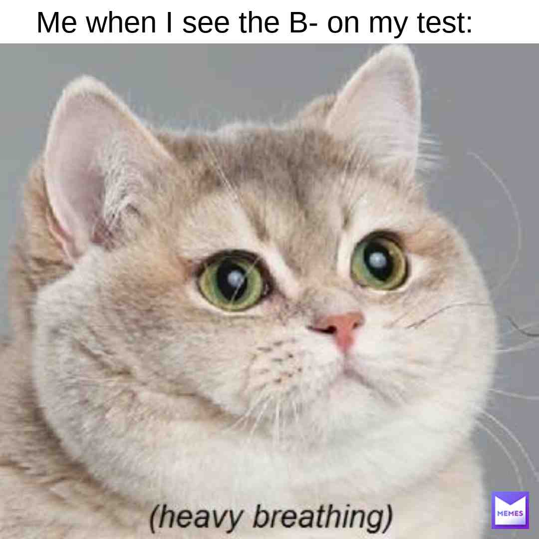 #cat #cat #cats #catmemes #catmeme #catsofinstagram #catlovers #dog #dog #dogememegod #dogs #doggo #doge #dogmemes #doggy #dogecoin #doggoaday #dogheater #doggooftheday #dogslife #dogsofinstagram #dogearmyyyyy #dogoarmy #dogmeme #doggomemes #dogstagram #doglover #dogememe #doge #dogememegod #doge #dogecoin #dogearmyyyyy #dogememe #dogelonmars #dogelon #dogeisback #dogee #dogeface #dogehuntersquad #dogeiscool #doge2 #doge2024 #dogeaccepetedhere #dogecoinarmy #dogekingdom #dogeroasts #dog #dog #dogememegod #dogs #doggo #doge #dogmemes #doggy #dogecoin #doggoaday #dogheater #doggooftheday #dogslife #dogsofinstagram #dogearmyyyyy #dogoarmy #dogmeme #doggomemes #dogstagram #doglover #dogememe #doge #dogememegod #doge #dogecoin #dogearmyyyyy #dogememe #dogelonmars #dogelon #dogeisback #doge2 #doge2024 #dogeaccepetedhere #dogee #dogeface #dogehuntersquad #dogeiscool #dogecoinarmy #dogekingdom #dogeroasts