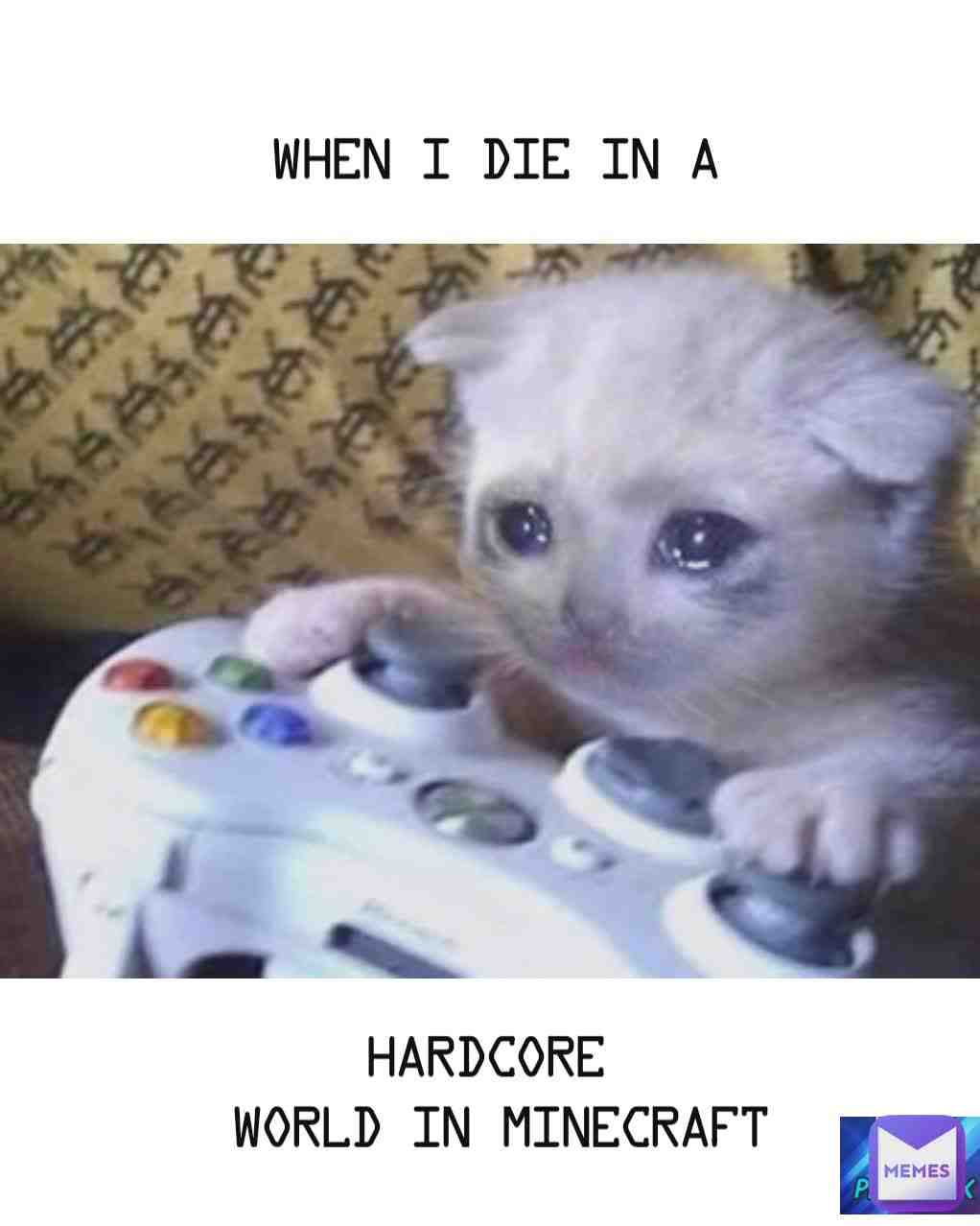 Meme shared by @kingortah245