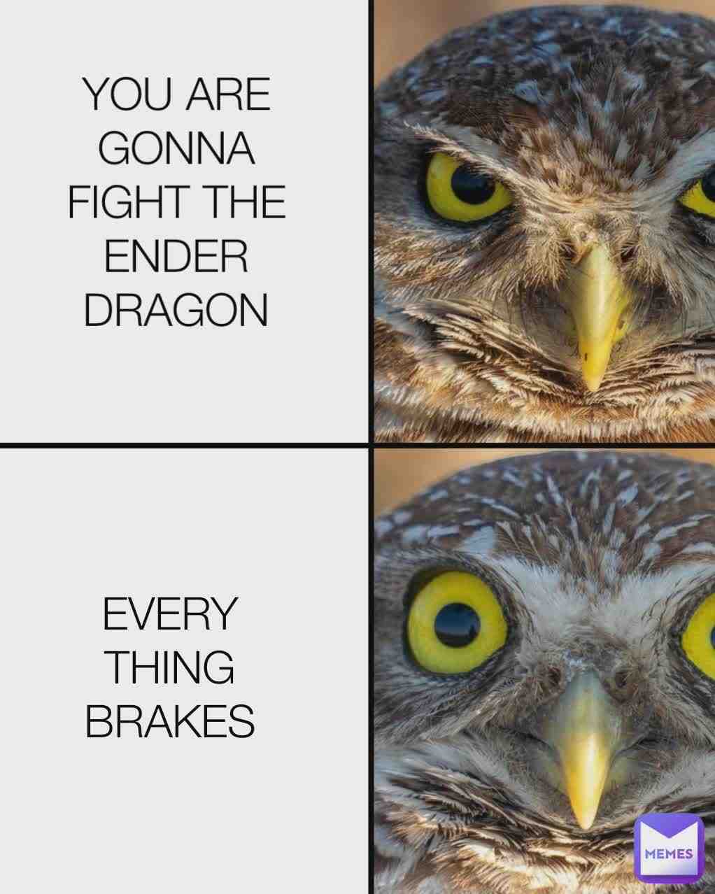 Meme shared by @kingortah245