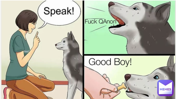 Fuck QAnon Good Boy!