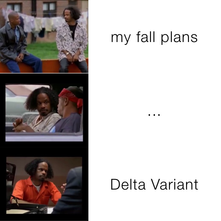 my fall plans  ... Delta Variant 