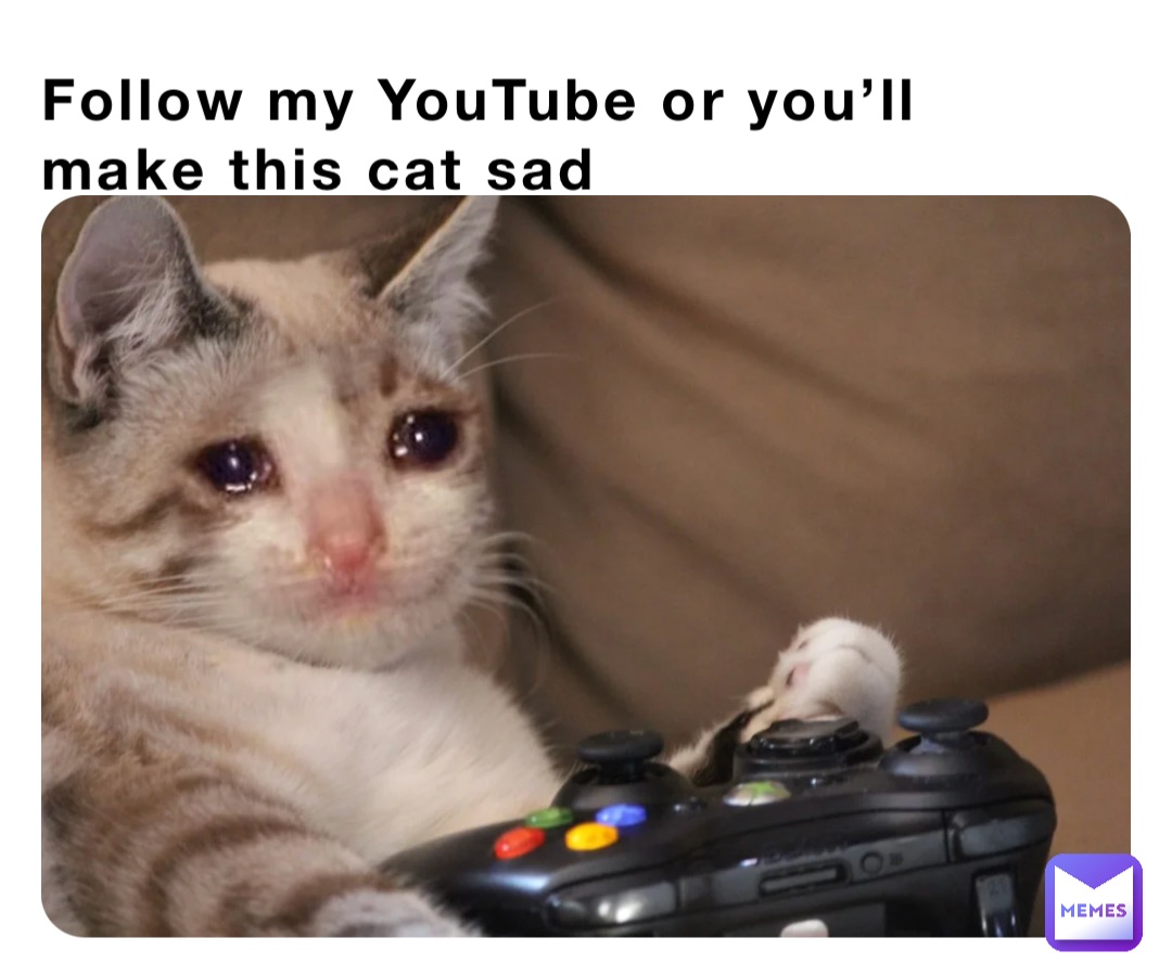 Follow my YouTube or you’ll make this cat sad