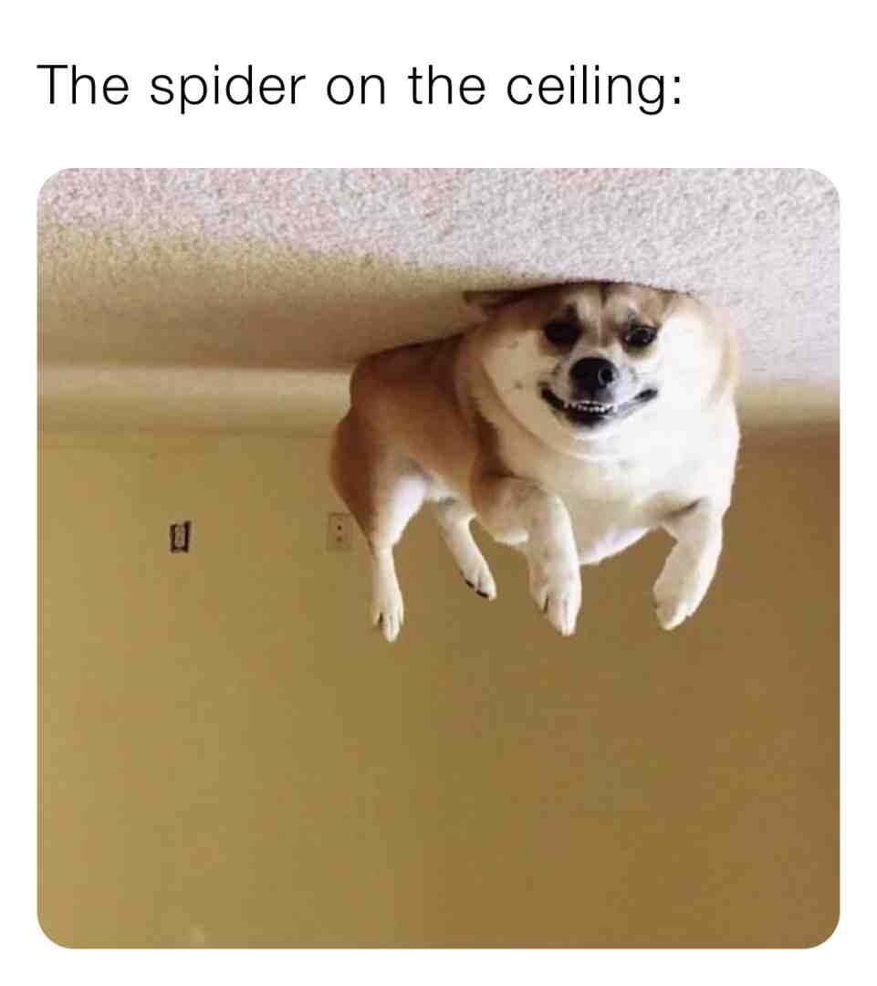 Meme preview