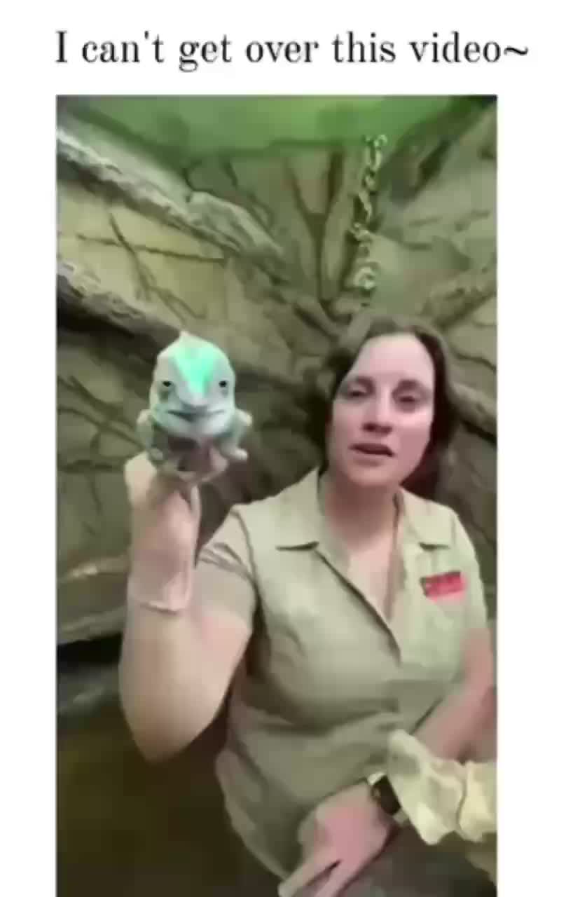Meme preview