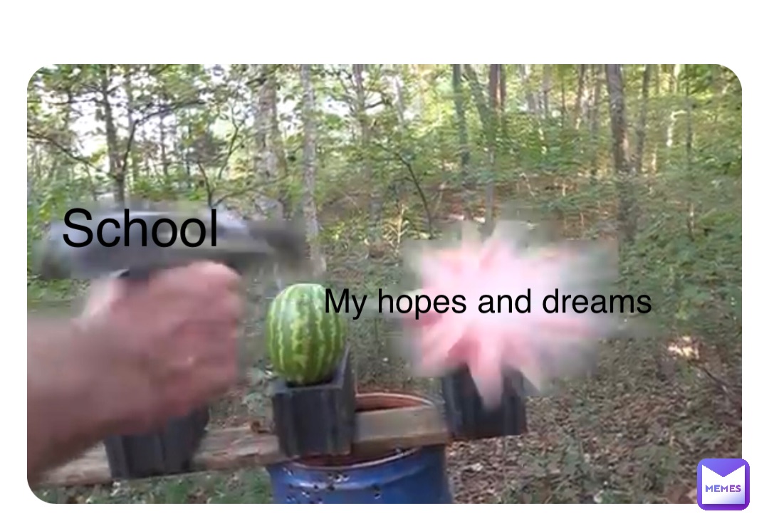 School My hopes and dreams