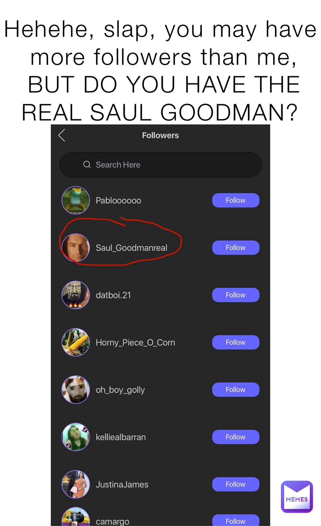 Hehehe, slap, you may have more followers than me, BUT DO YOU HAVE THE REAL SAUL GOODMAN?