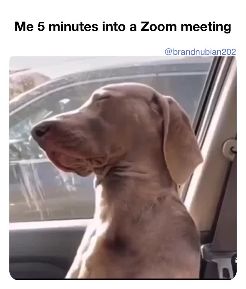 Sound up  #work  #workmemes  #worklife  #2020  #tired  #tiredasaf  #zoommeeting