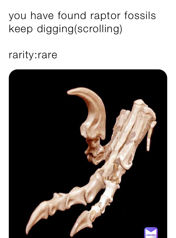 you have found raptor fossils keep digging(scrolling)

rarity:rare