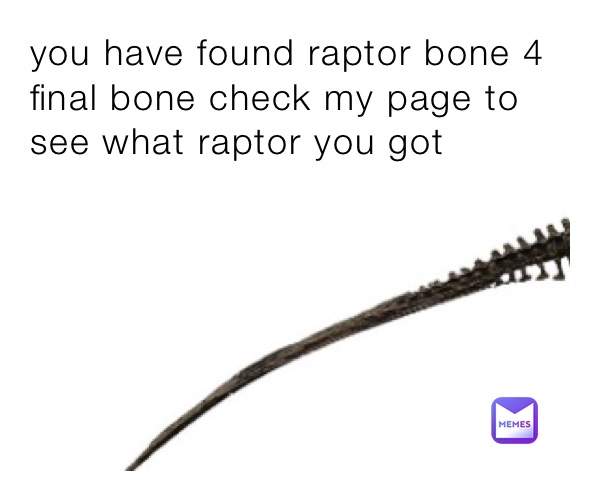 you have found raptor bone 4 final bone check my page to see what raptor you got