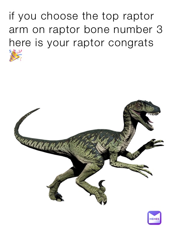 if you choose the top raptor arm on raptor bone number 3 here is your raptor congrats 🎉 